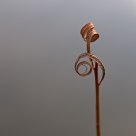 Drying with a twist
